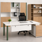 Modern Executive Office Desk with Side Cabinet
