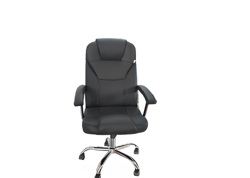 Executive Ergonomic Office Chair